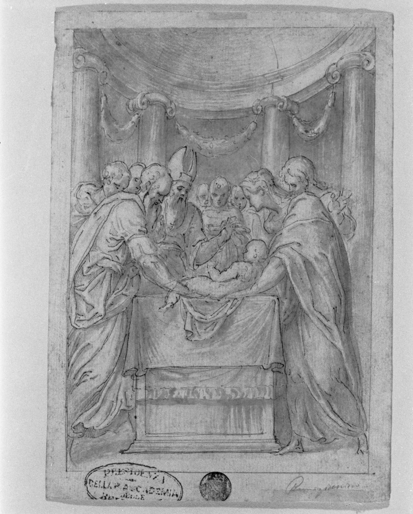 presentazione di Gesù al tempio (disegno, opera isolata) di Campi Bernardino (sec. XVI)