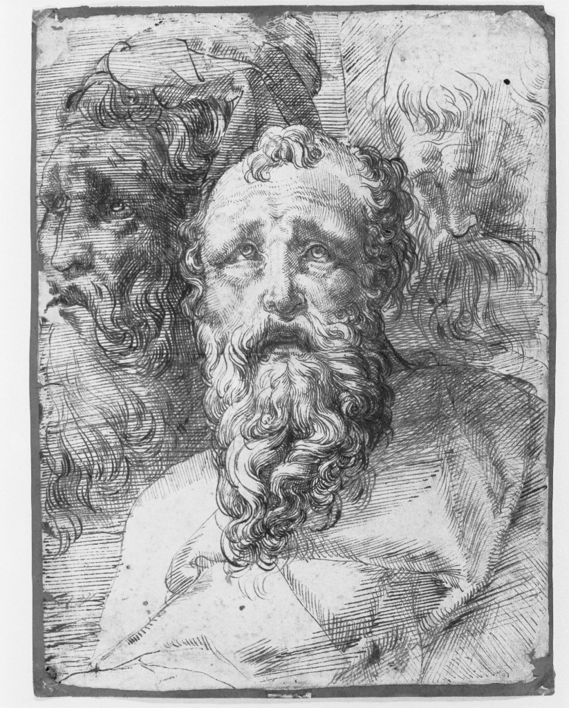Tre teste virili barbate, figura maschile (disegno, opera isolata) di Procaccini Camillo (secc. XVI/ XVII)