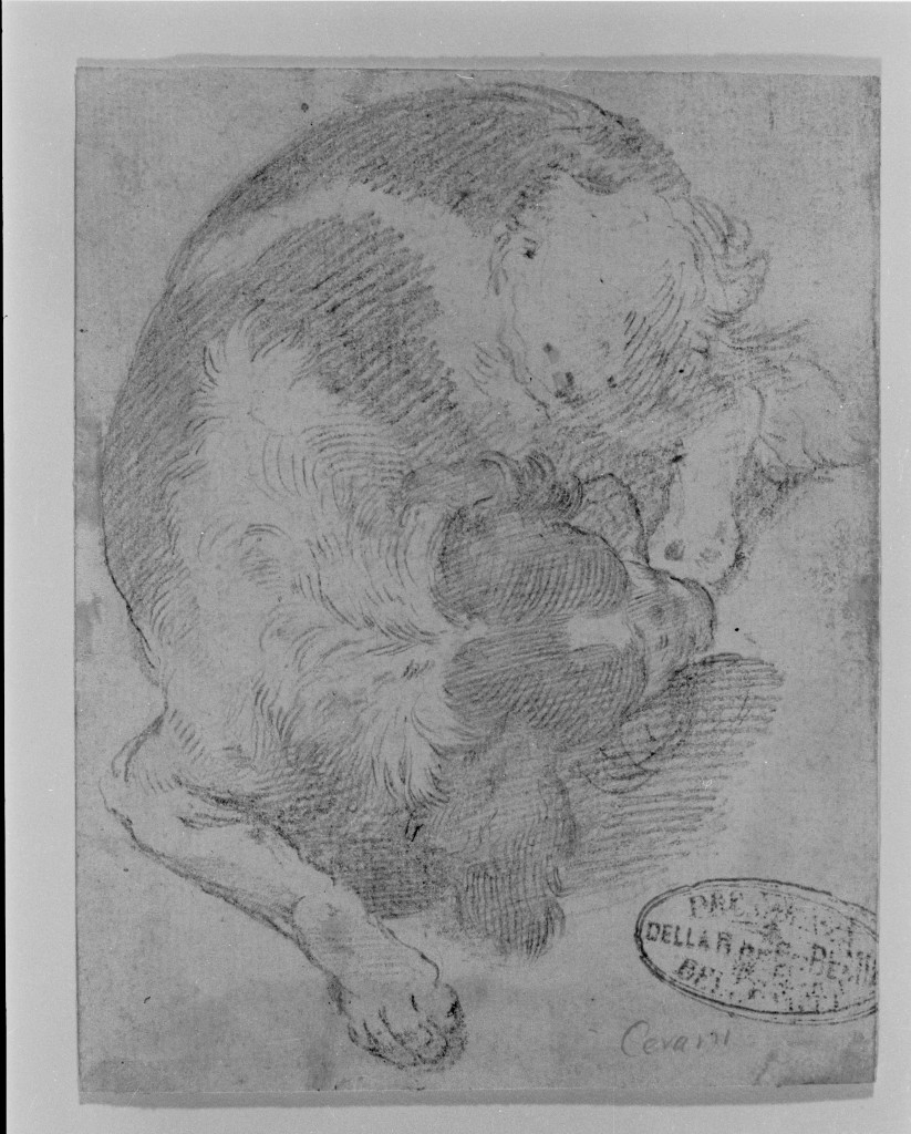 Cane, animali (disegno, opera isolata) di Crespi Giovanni Battista detto Cerano (secc. XVI/ XVII)