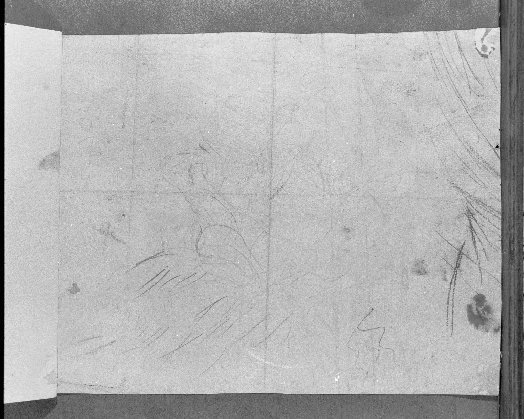 studio di parti anatomiche (disegno, elemento d'insieme) di Donelli Carlo detto Vimercati (secc. XVII/ XVIII)
