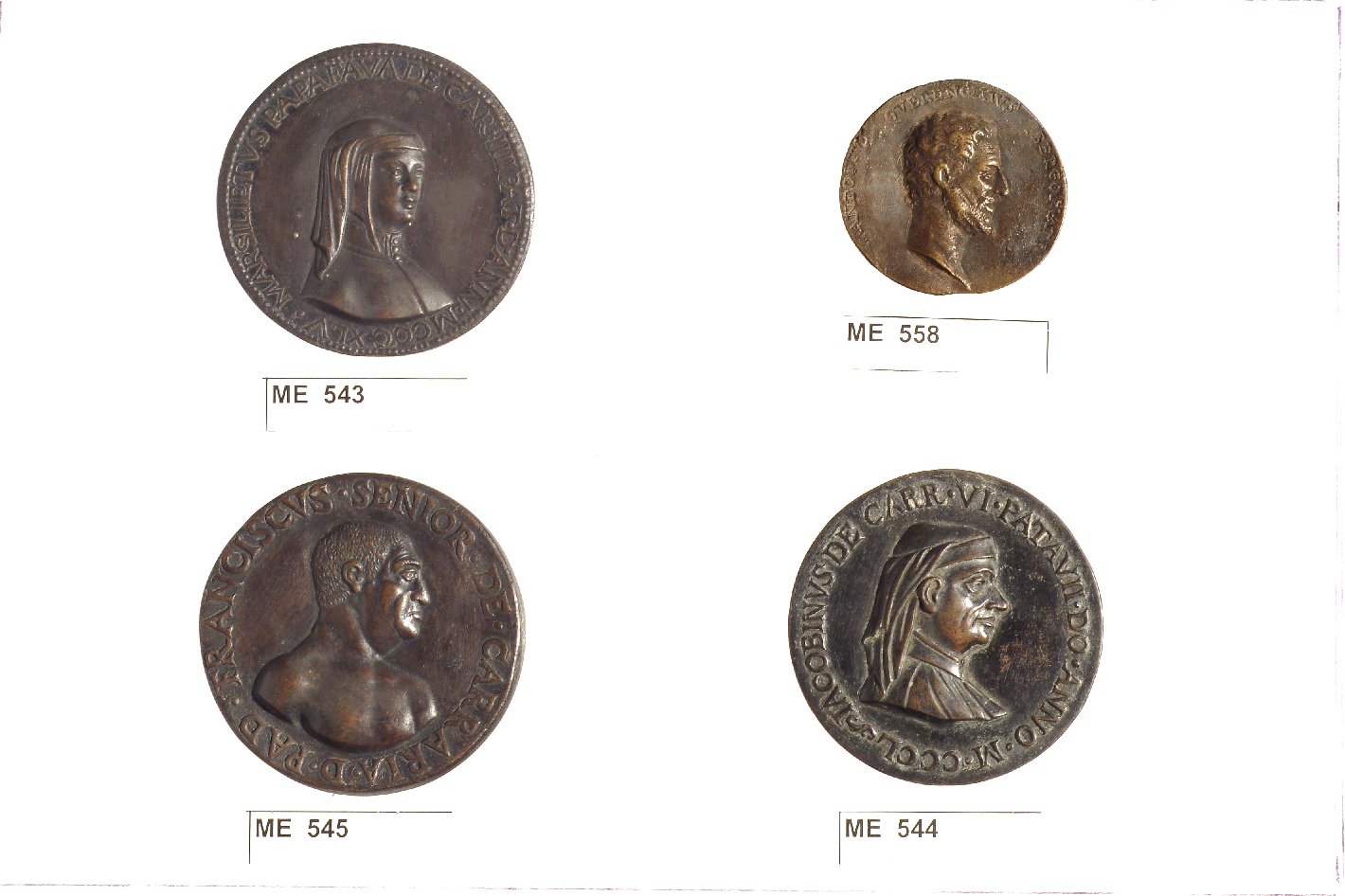 medaglia - ambito italiano (sec. XVI)