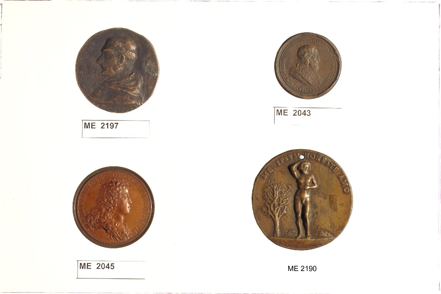 medaglia - ambito italiano (sec. XVI)