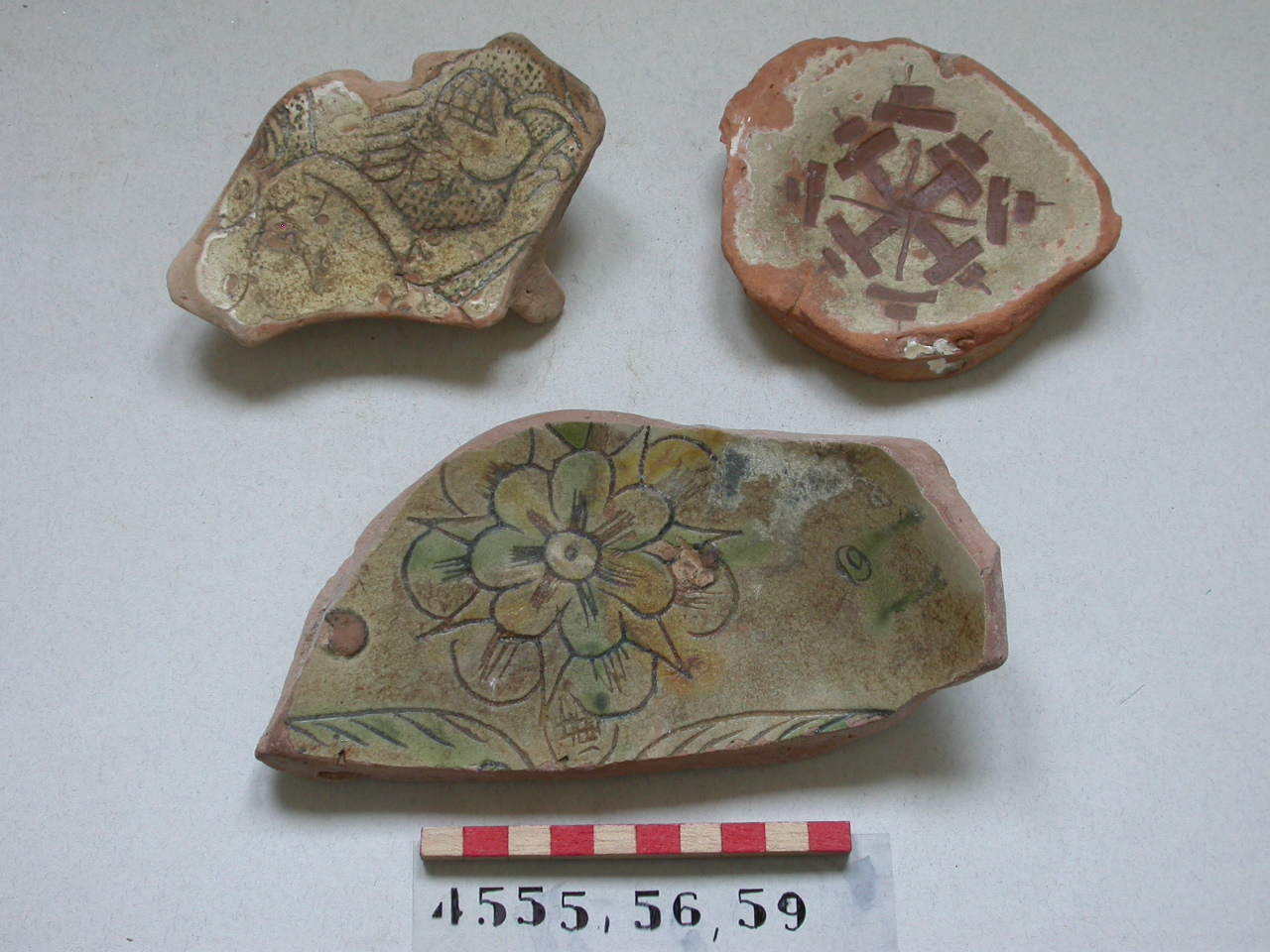 motivi decorativi geometrici (piatto, frammento) - ambito veneziano (sec. XVI)