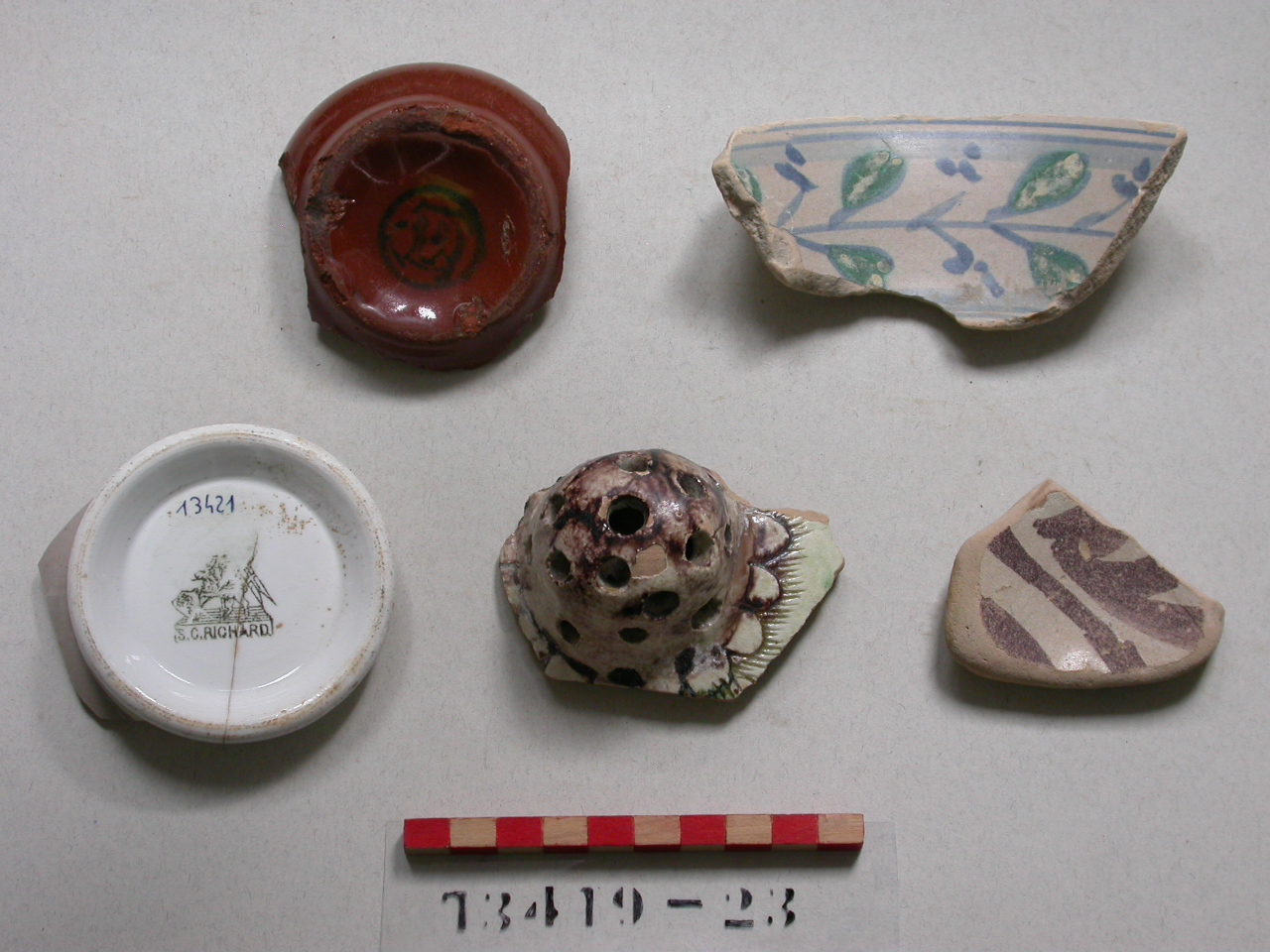 motivi decorativi vegetali (scodella, frammento) - ambito pesarese (sec. XVII)