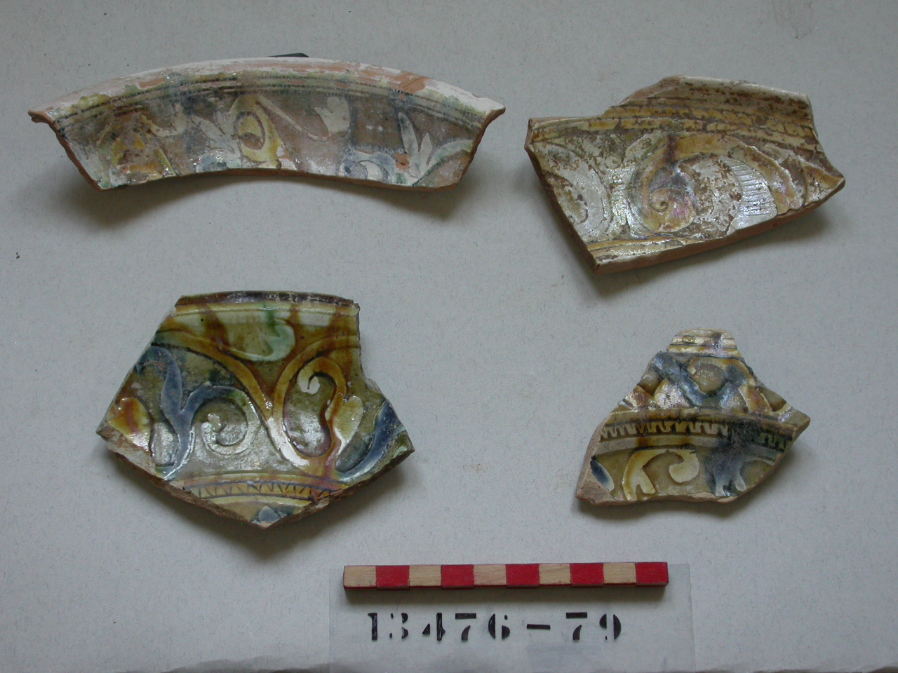 motivi decorativi vegetali (piatto, frammento) - ambito veneziano (secc. XVI/ XVII)