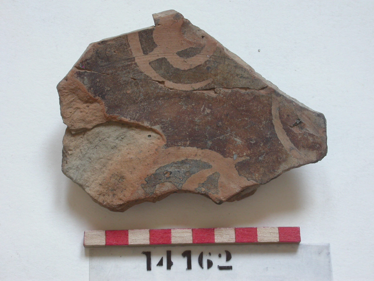 motivi decorativi geometrici (bacino, frammento) - ambito bizantino (secc. XII/ XIII)