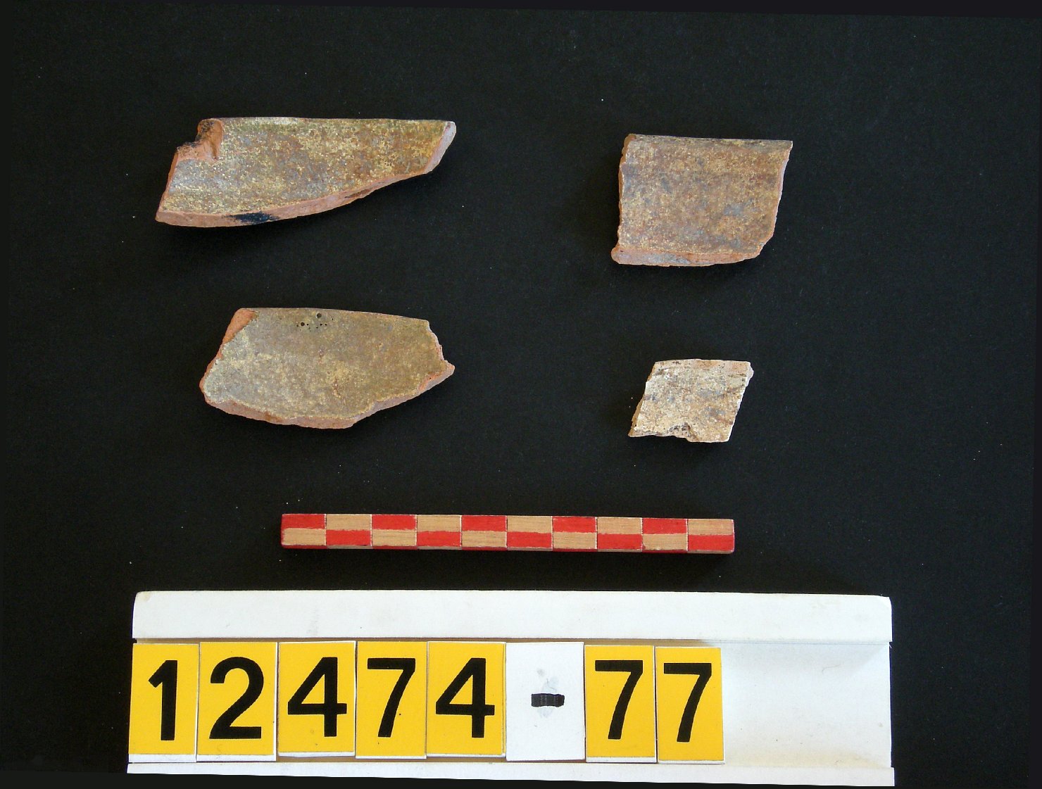 scodella, frammento - ambito veneziano (sec. XIV)