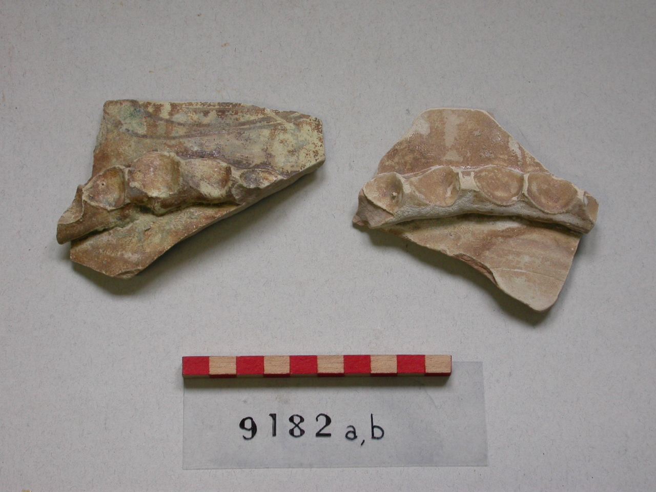 motivi decorativi vegetali (vaso, frammento) - ambito Italia centro-meridionale (secc. XIII/ XIV)