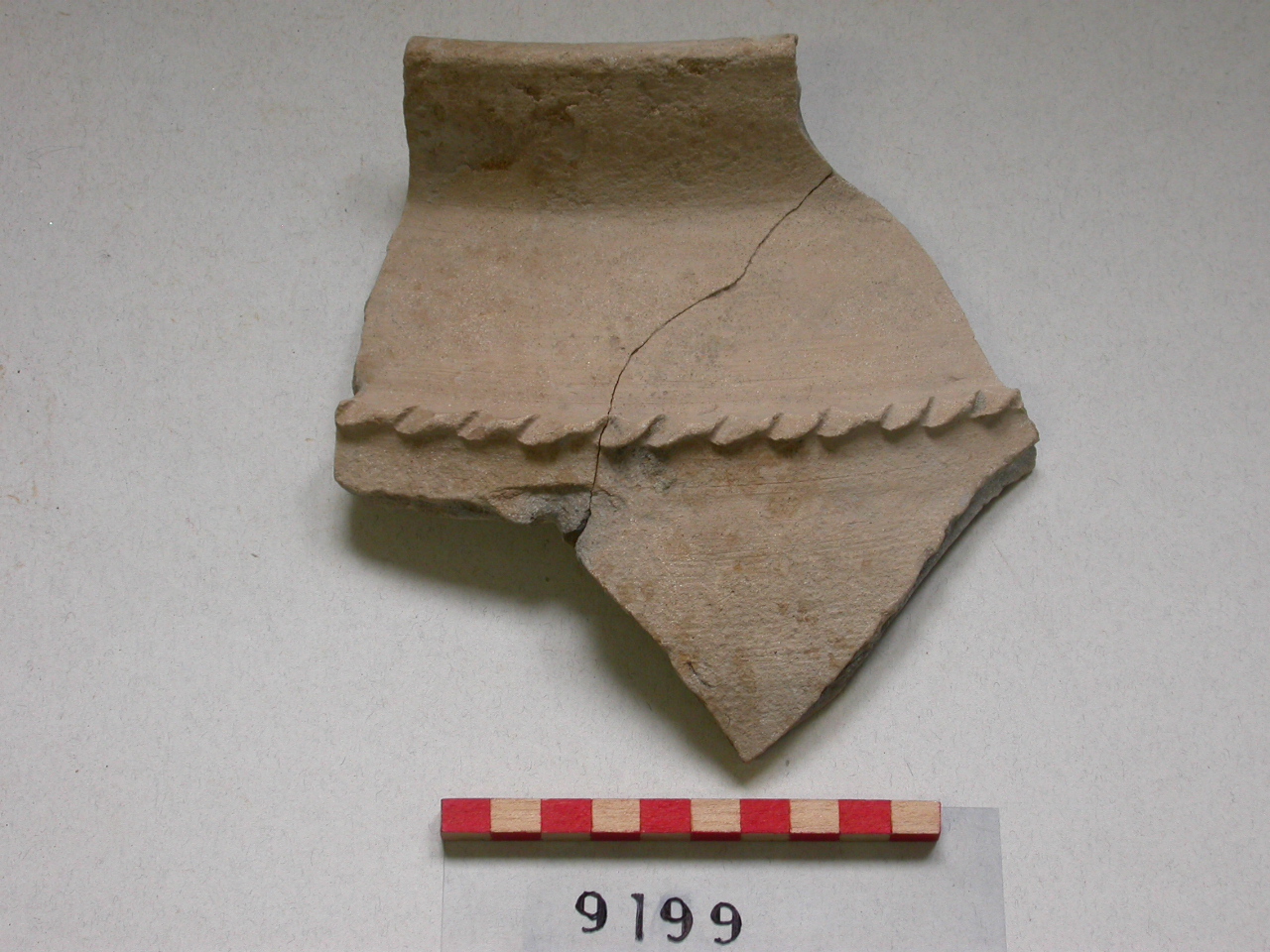 olla, frammento - ambito veneziano (secc. XIII/ XIV)