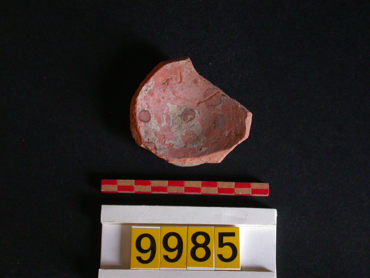 scodella, frammento - ambito veneziano (sec. XIV)