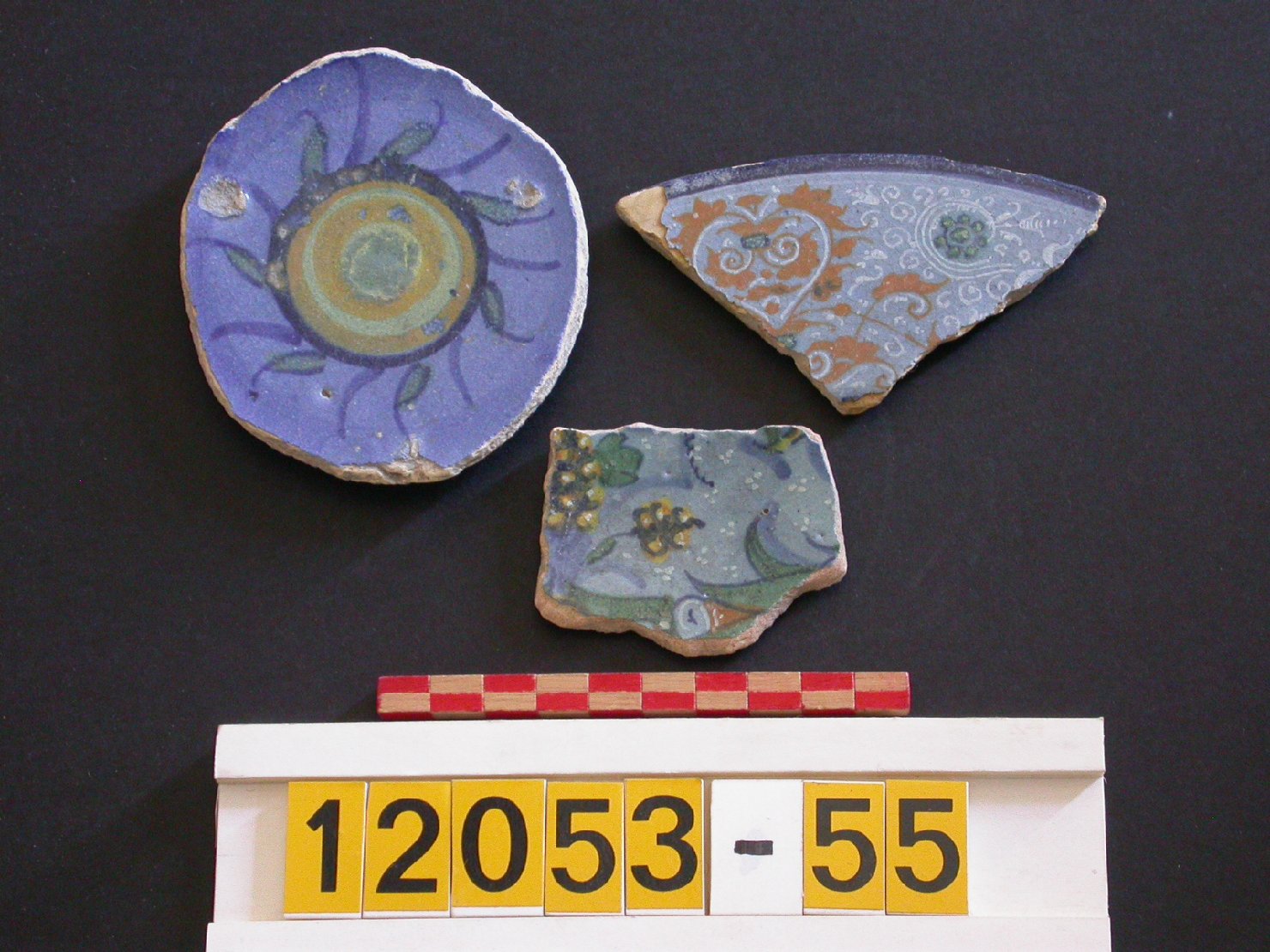 motivi decorativi vegetali (piatto, frammento) - ambito faentino (seconda metà sec. XVI)