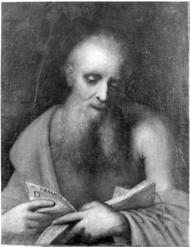 Santo che legge, Santo che legge (dipinto, opera isolata) - ambito veneto (sec. XVII)