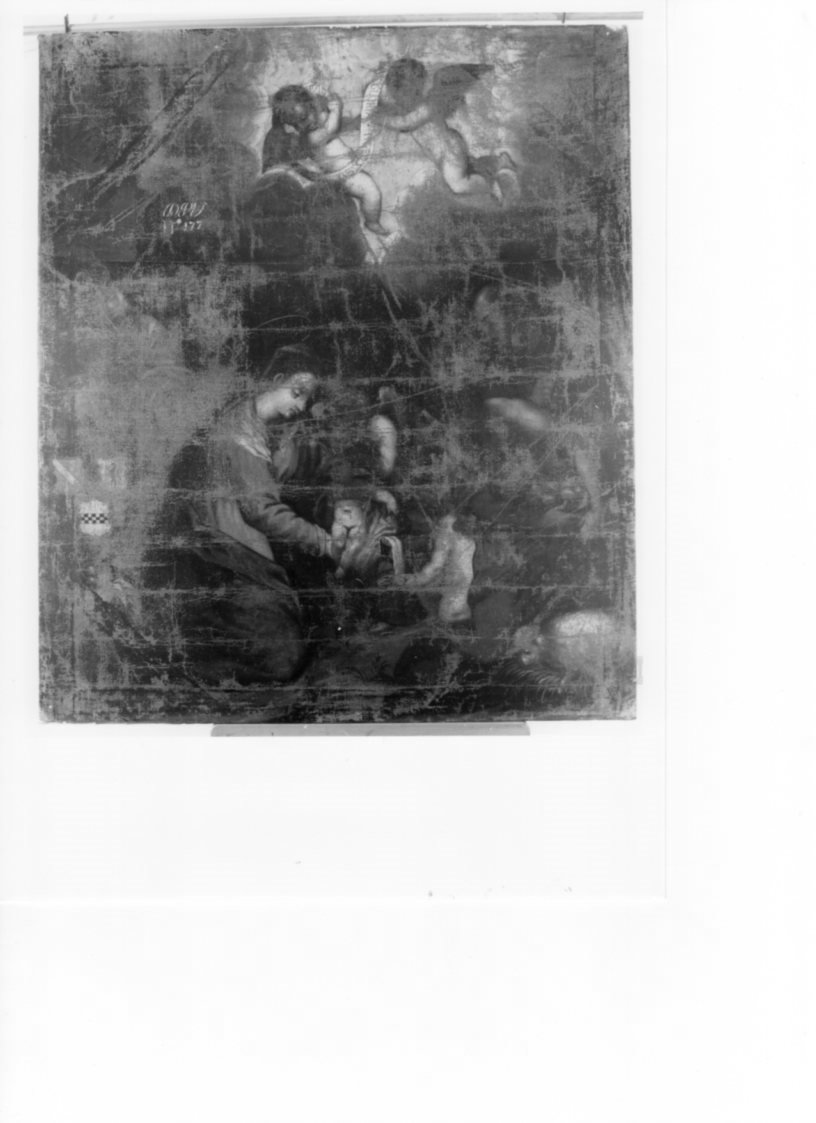 natività di Gesù, natività di Gesù (dipinto, opera isolata) - ambito veneto (inizio sec. XVII)