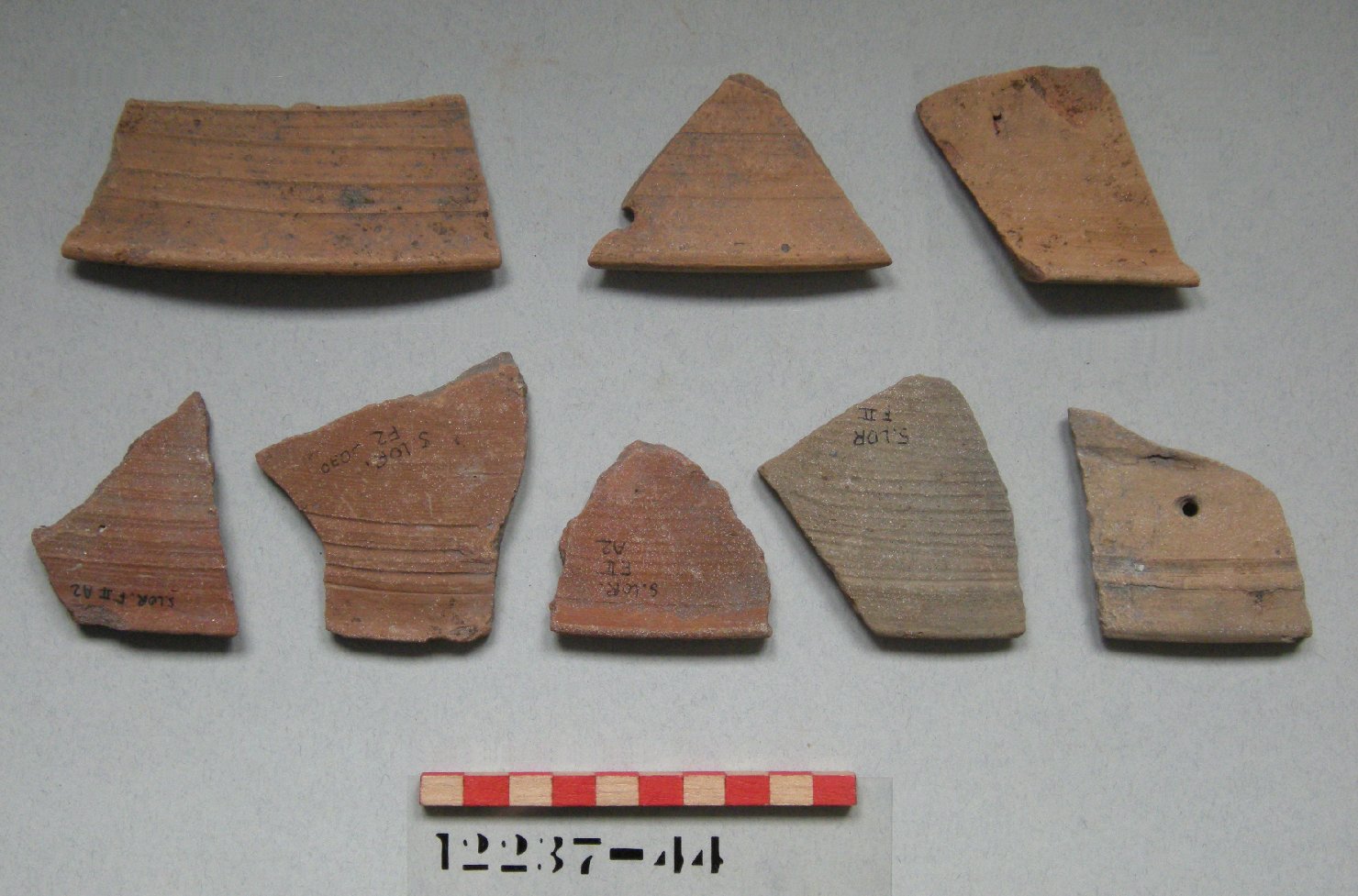 catino-coperchio, frammento - ambito veneto (secc. XIV/ XV)