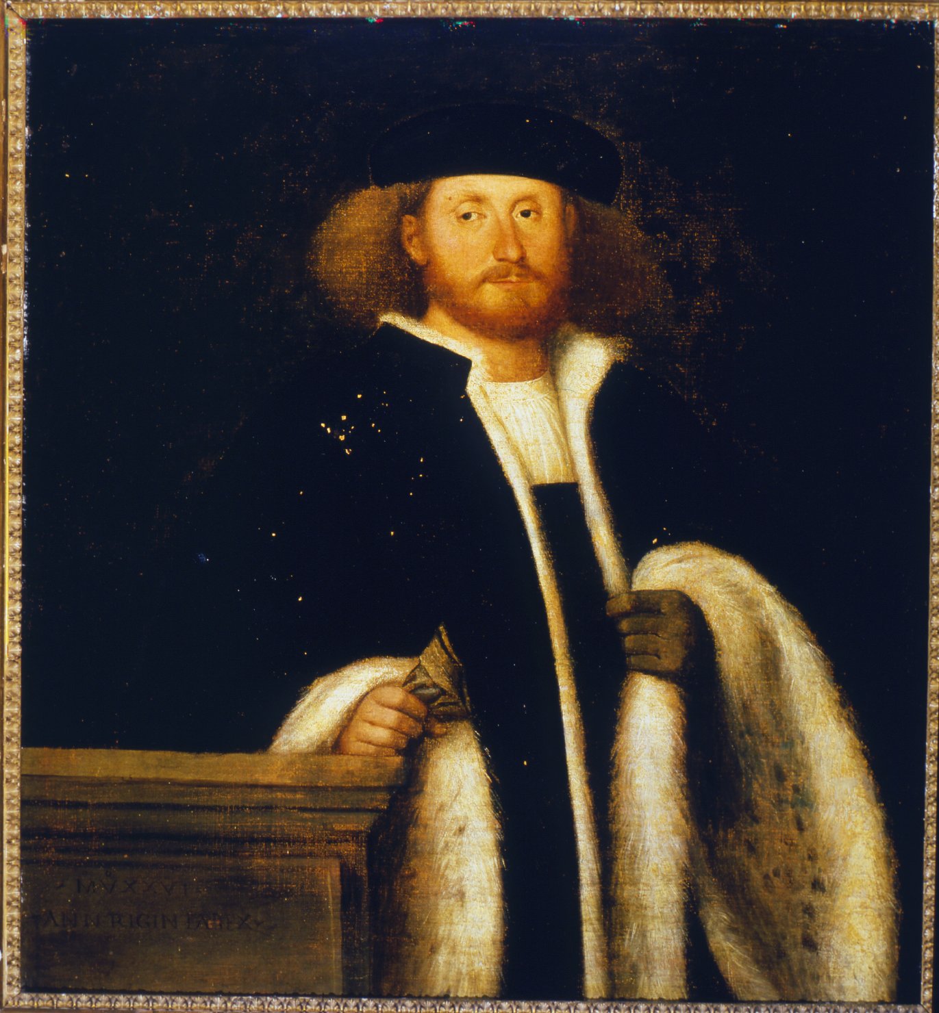 ritratto d'uomo con pelliccia, ritratto d'uomo (dipinto, opera isolata) di Busi Giovanni detto Cariani (attribuito) (prima metà sec. XVI)
