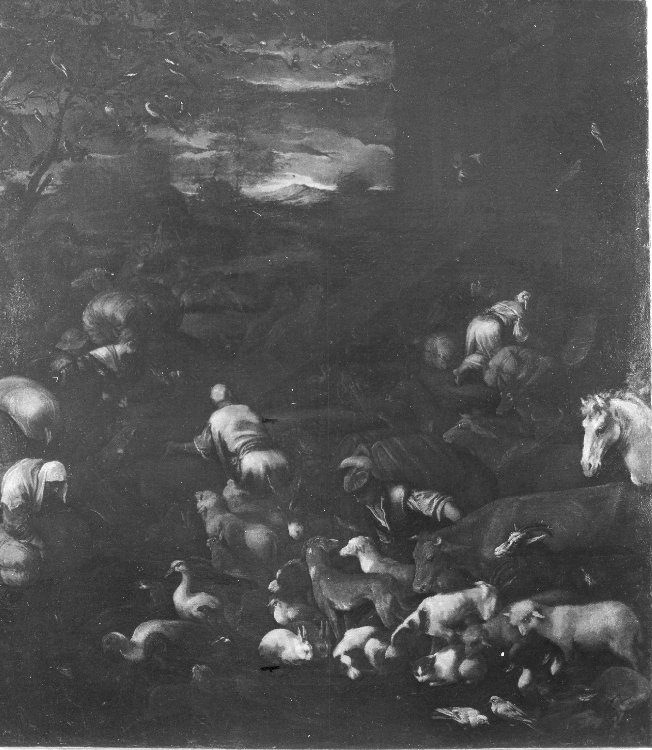 imbarco degli animali nell'arca (dipinto) di Da Ponte Jacopo detto Jacopo Bassano (bottega) (seconda metà sec. XVI)