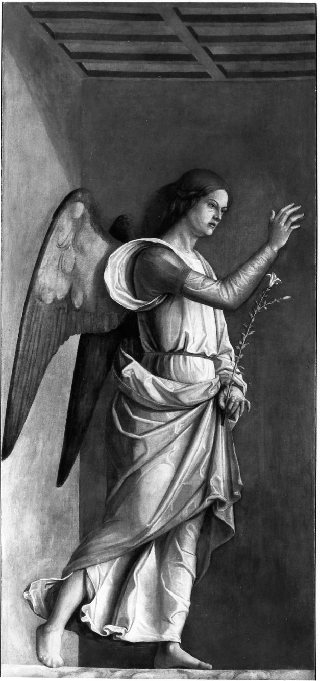 angelo annunciante (dipinto) di Cima Giovanni Battista detto Cima da Conegliano (bottega) (prima metà sec. XVI)