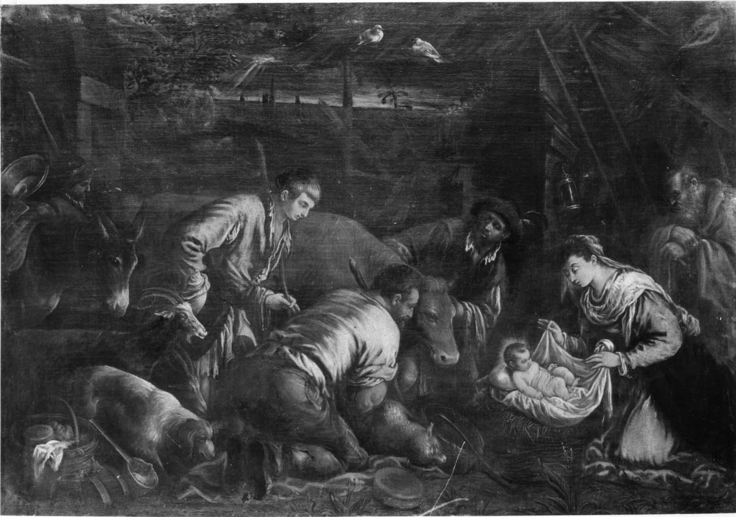adorazione dei pastori (dipinto, opera isolata) di Da Ponte Jacopo detto Jacopo Bassano (bottega) (fine sec. XVI)