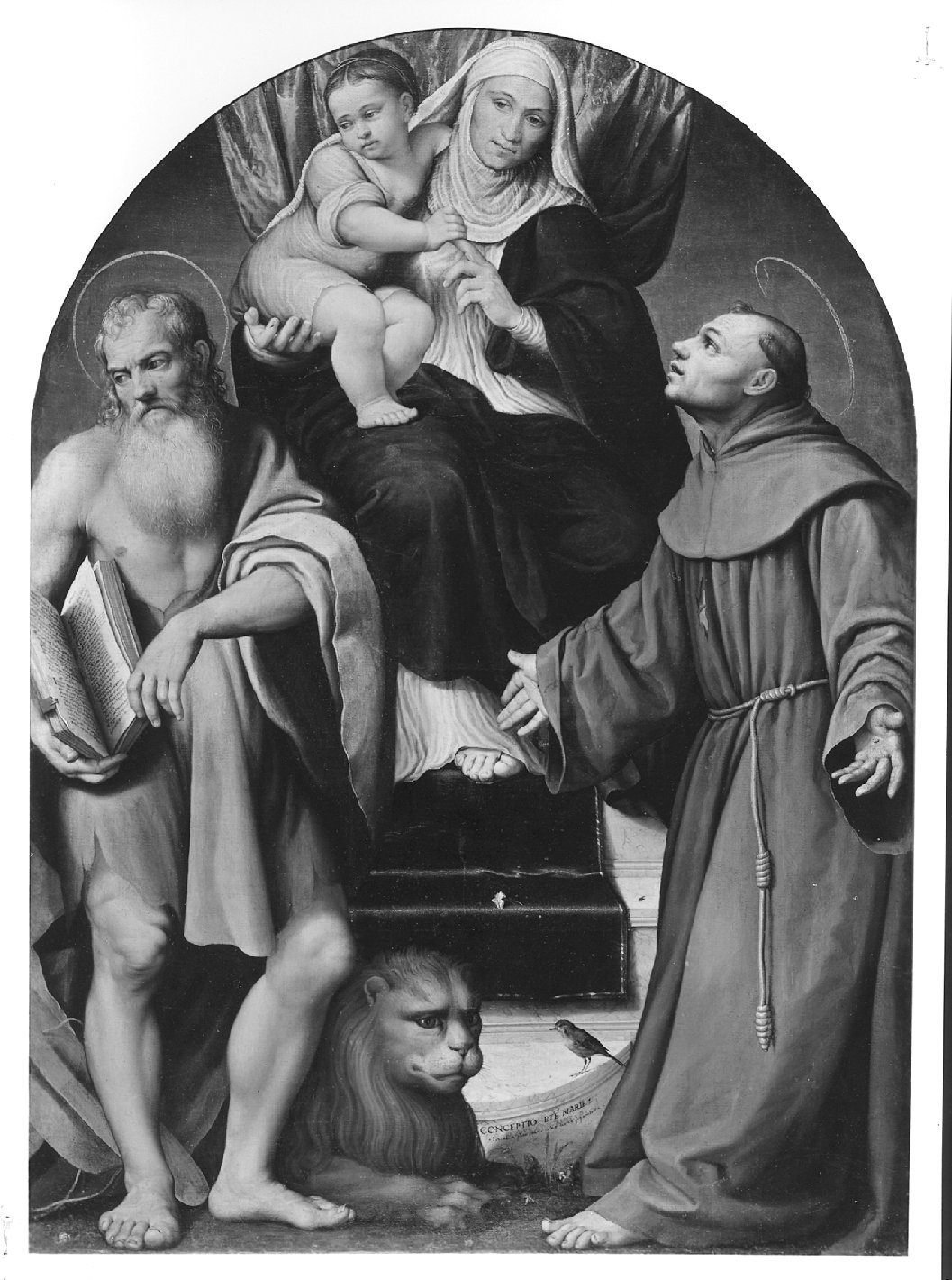 Pala della Beata Concezione, Madonna in trono e Santi (dipinto, opera isolata) di Da Ponte Jacopo detto Jacopo Bassano (sec. XVI)