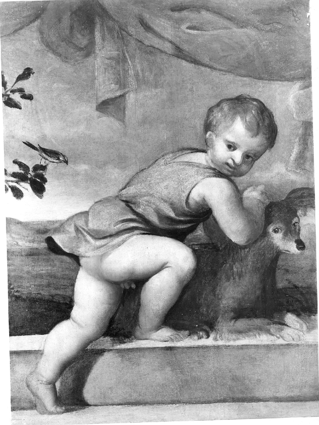 putto con cane, putto (dipinto, opera isolata) di Varotari Alessandro detto Padovanino (secc. XVI/ XVII)