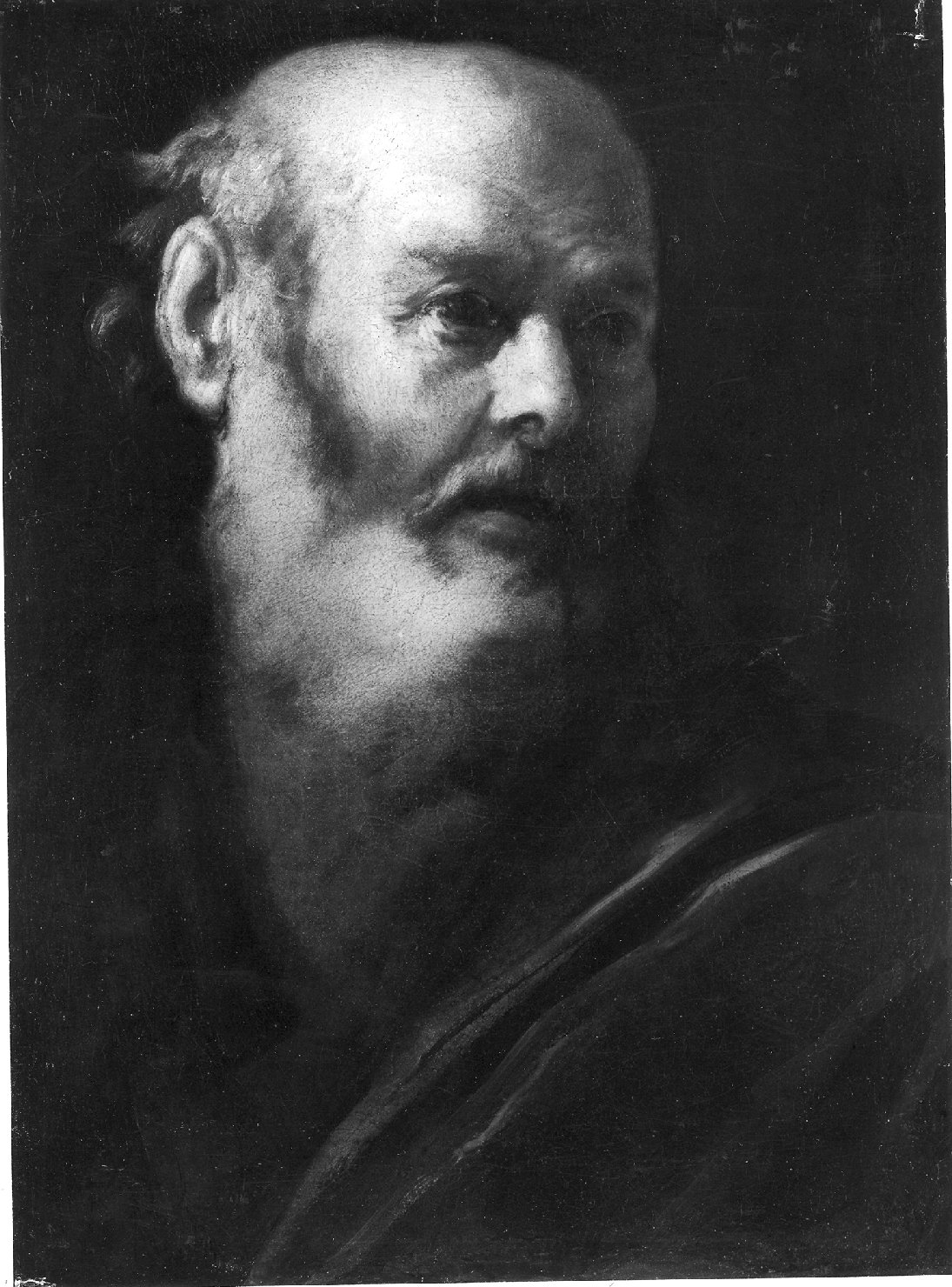 busto di vecchio, busto di vecchio (dipinto, opera isolata) di Mola Pier Francesco (sec. XVII)