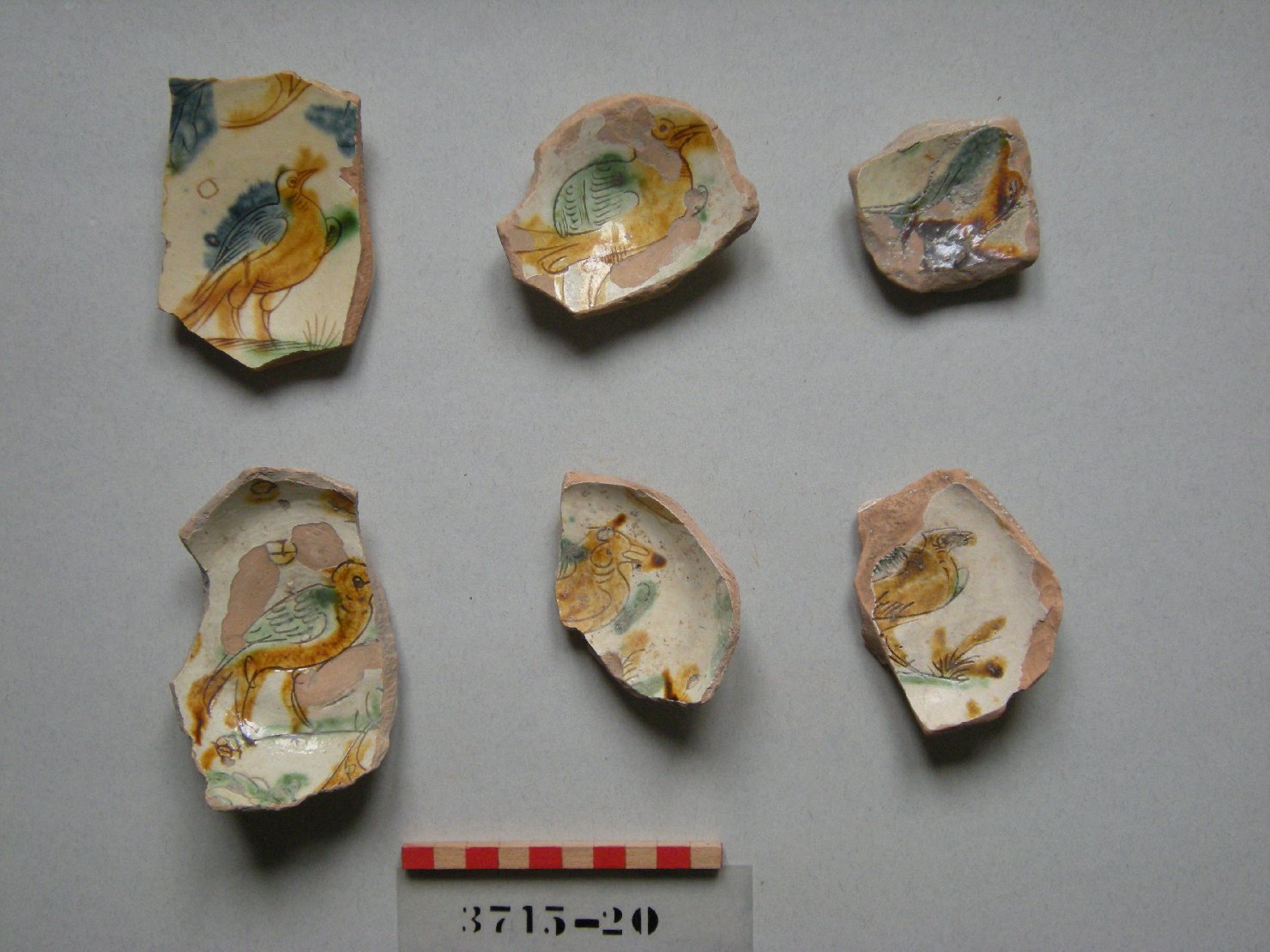 motivo decorativo zoomorfo (piatto, frammento) - ambito veneziano (secc. XVI/ XVII)