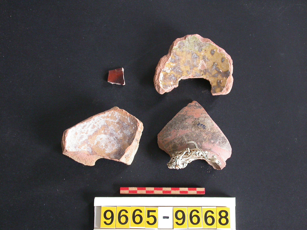 scodella, frammento - ambito veneziano (secc. XIII/ XIV)