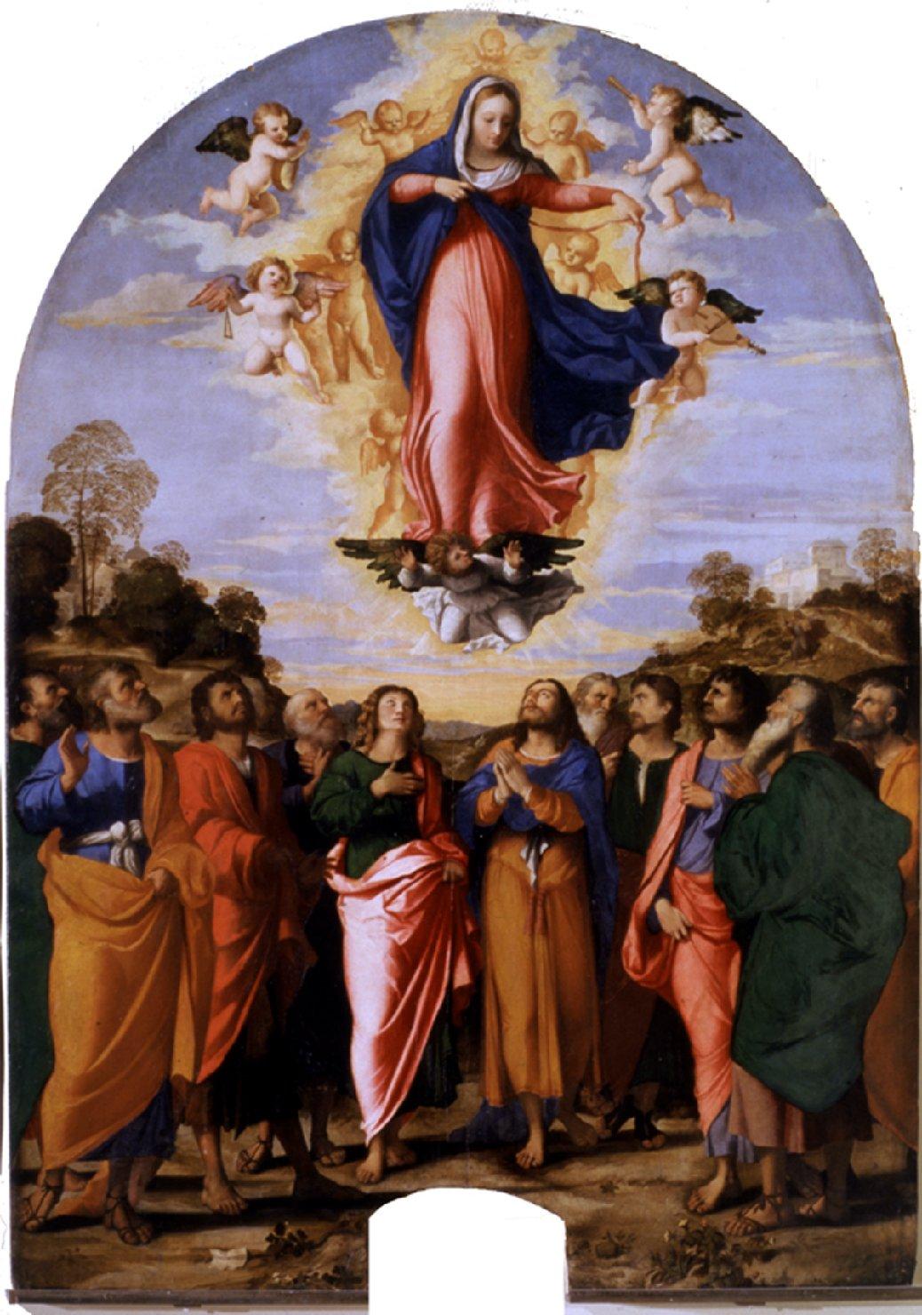assunzione della Madonna (dipinto) di Negretti Iacopo detto Palma il Vecchio (sec. XVI)