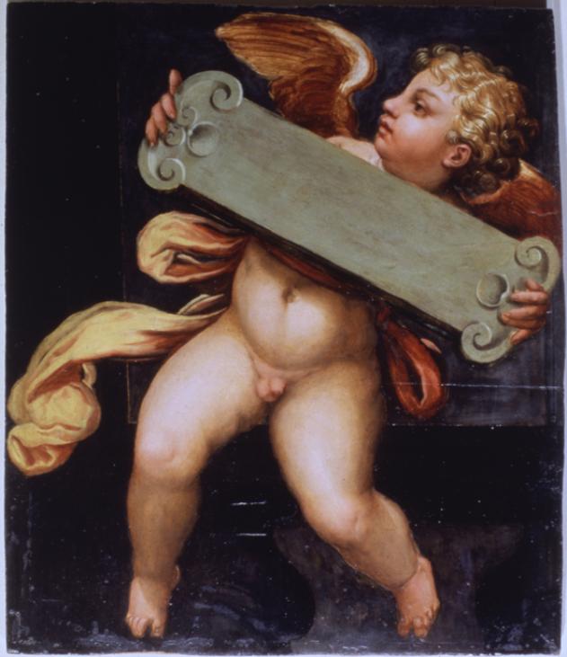 putto alato (dipinto) di Vasari Giorgio (sec. XVI)