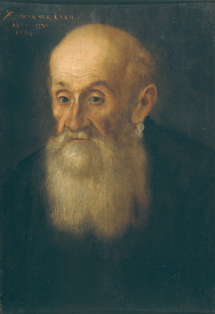 ritratto d'uomo (dipinto, opera isolata) - ambito veneto (seconda metà sec. XVI)