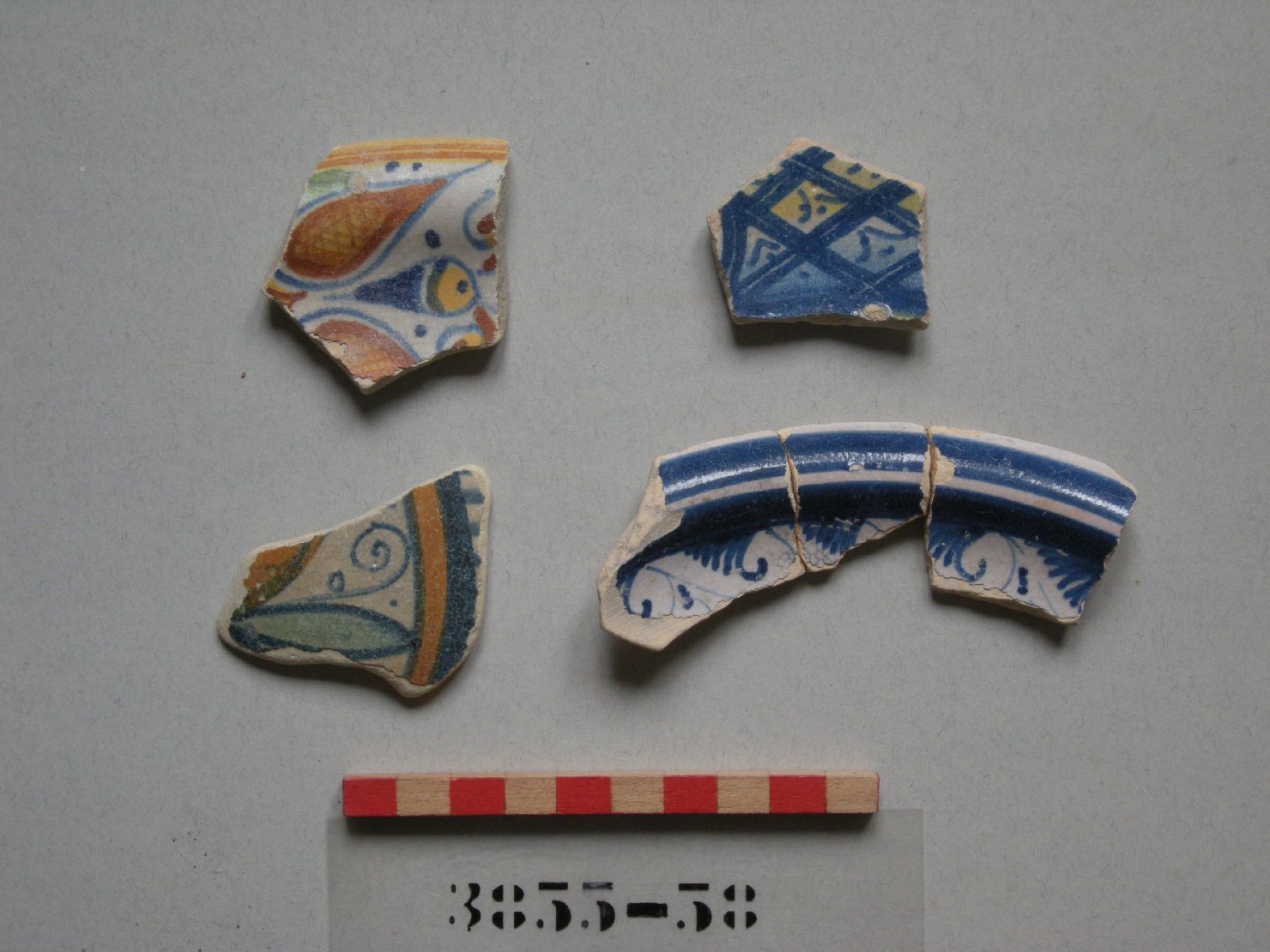 motivi decorativi vegetali (piatto, frammento) - ambito romagnolo-marchigiano (ultimo quarto sec. XVI)