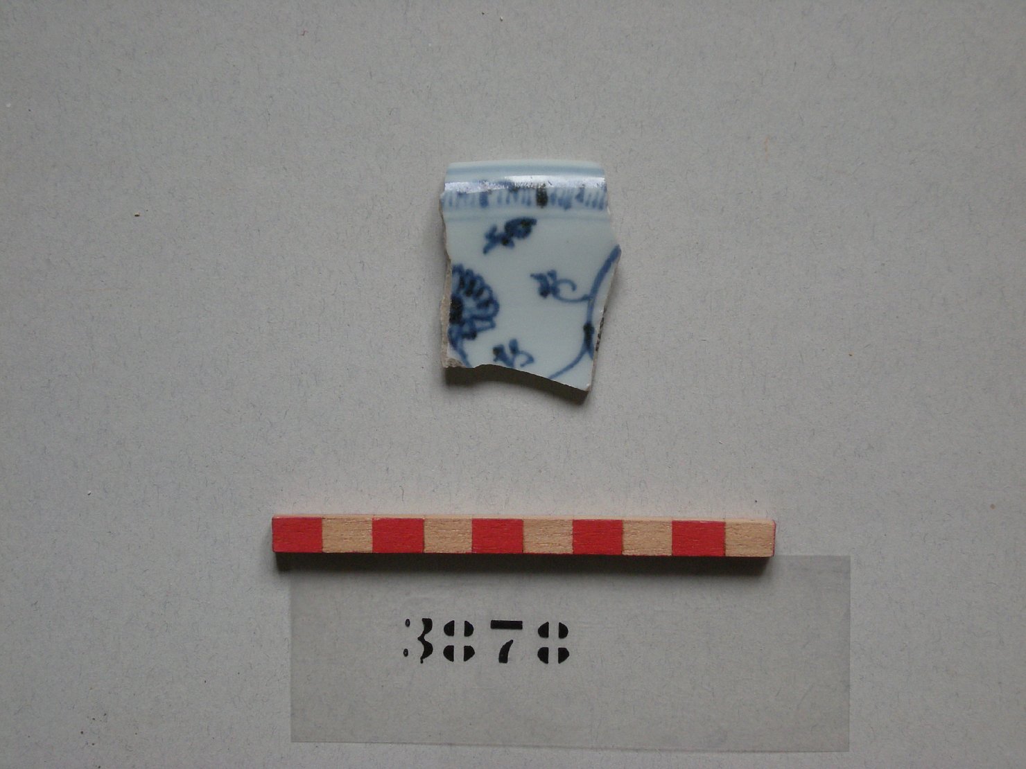 motivi decorativi vegetali/ fenice (scodella, frammento) - ambito cinese (secc. XIV/ XVII)