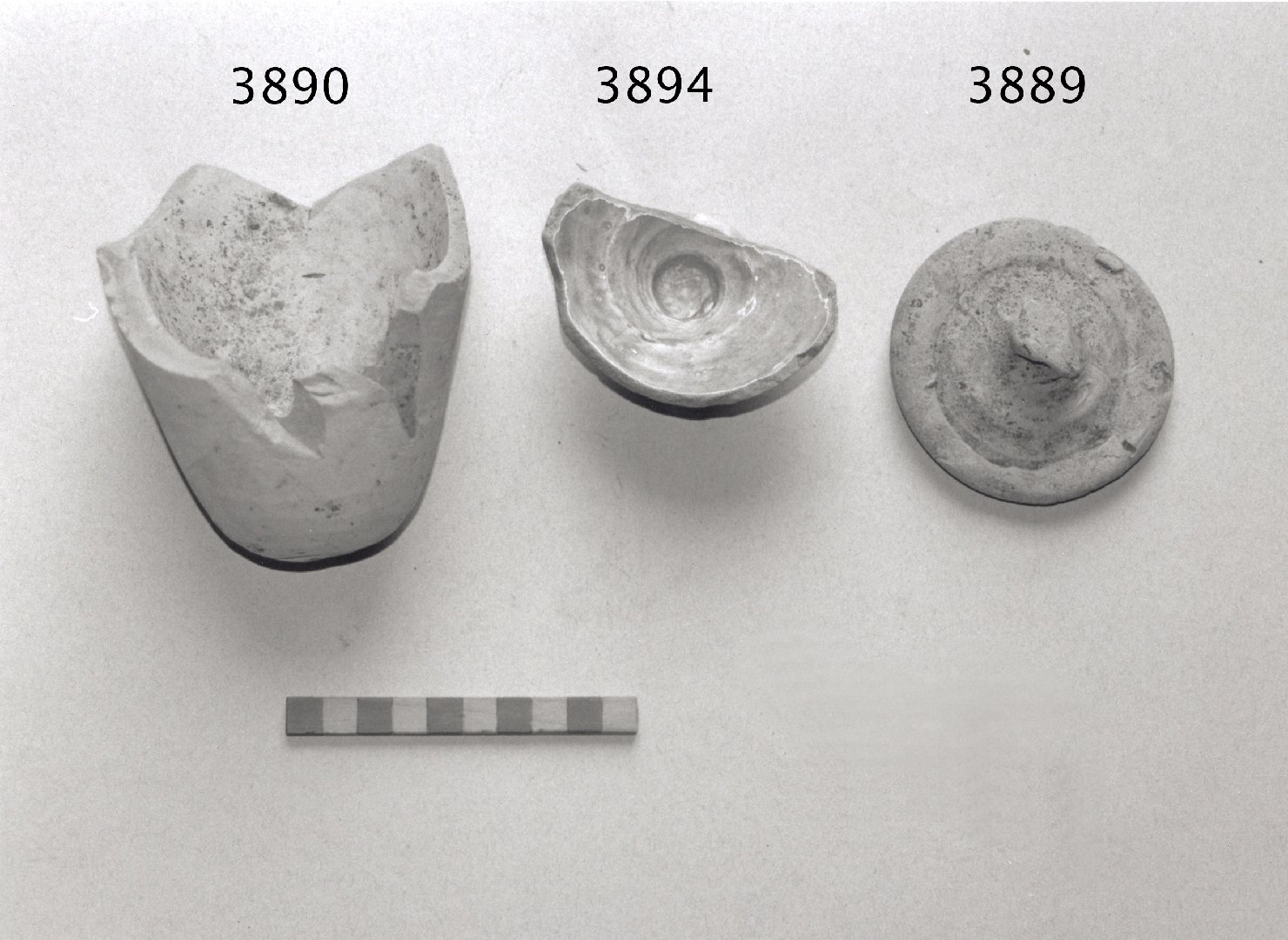 salvadanaio, frammento - ambito veneziano (secc. XVI/ XVII)