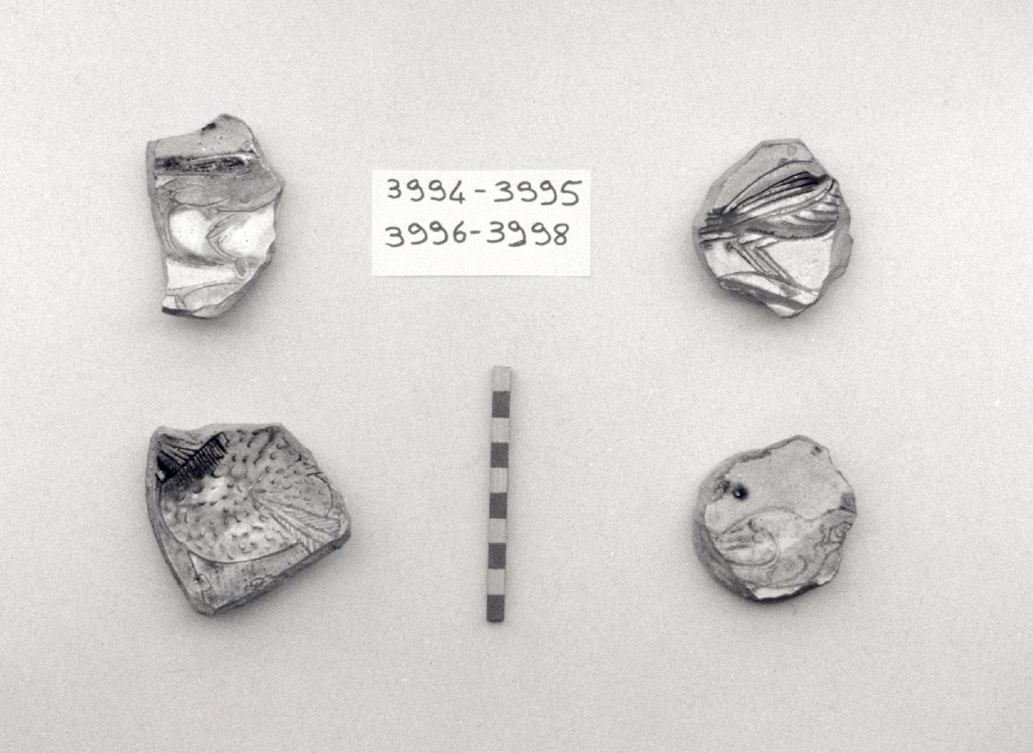 motivo decorativo zoomorfo (scodella, frammento) - ambito veneziano (secc. XVI/ XVII)