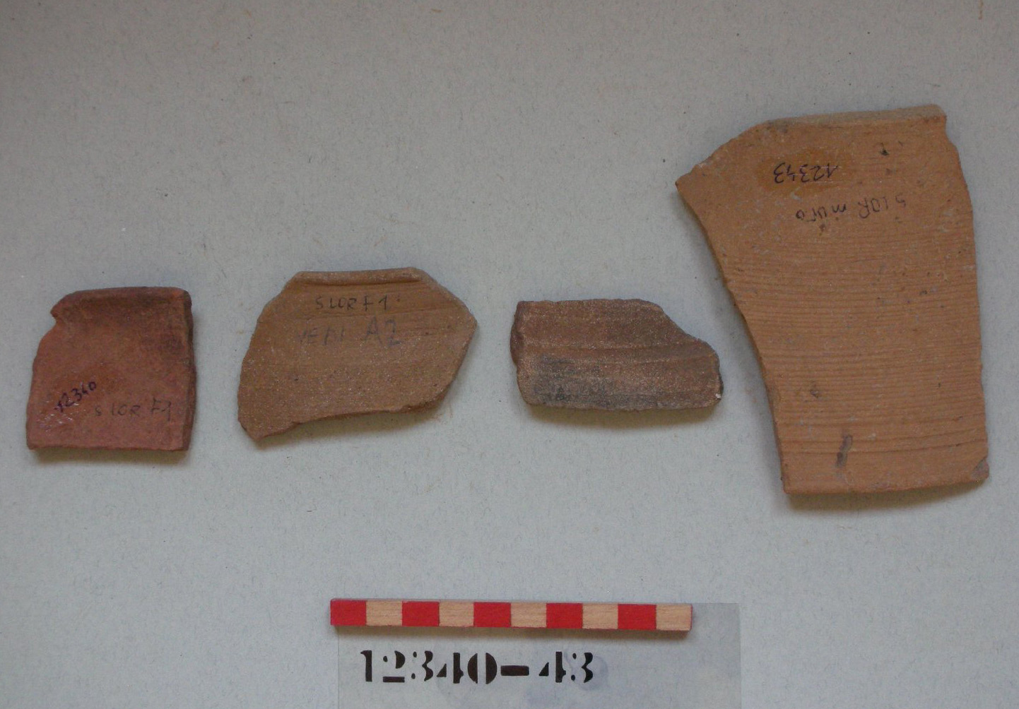 bacino, frammento - ambito veneto (secc. XIII/ XIV)