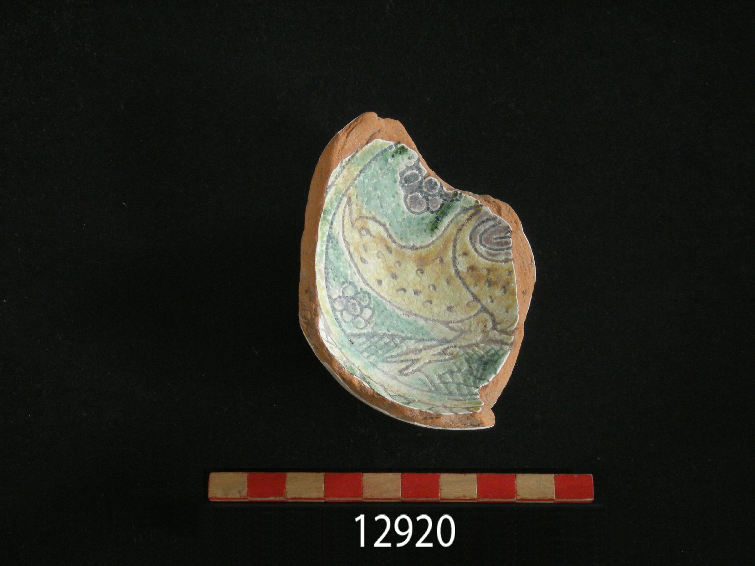 motivo decorativo zoomorfo (scodella, frammento) - ambito veneziano (secc. XV/ XVI)