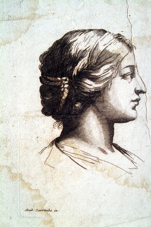 testa di donna di profilo (stampa smarginata) di Carracci Annibale (prima metà sec. XVII)
