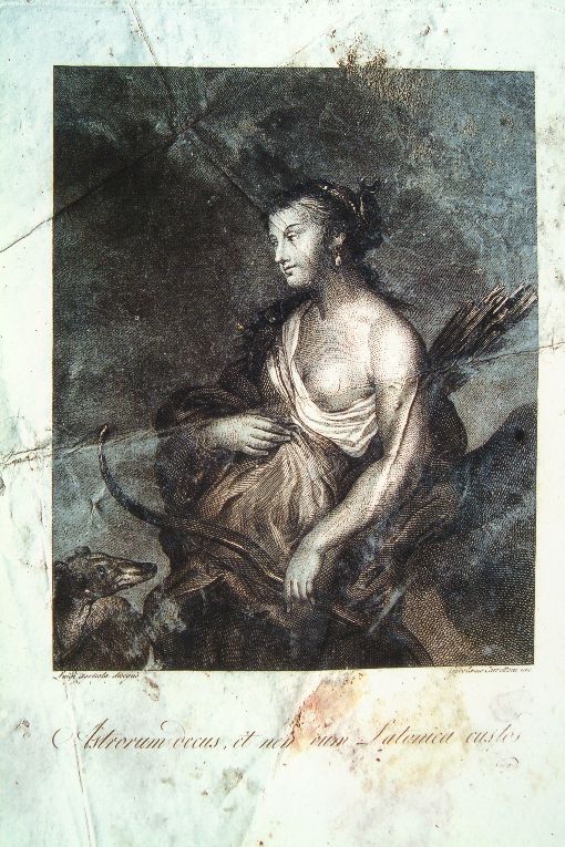 Diana cacciatrice (stampa) di Carattoni Girolamo, Agricola Luigi (fine/inizio secc. XVIII/ XIX)