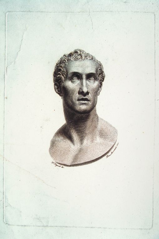 testa maschile romana (stampa) di Marchetti Domenico, Tognolli Giovanni (seconda metà sec. XIX)
