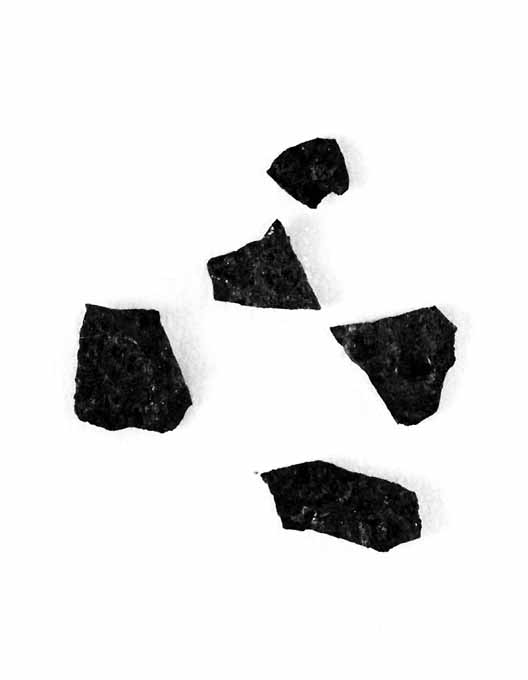 moneta (secc. II/ XIX d.C)