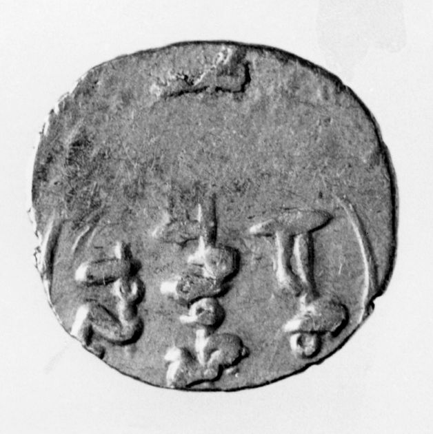 moneta - tarì (secc. XI/ XII d.C)
