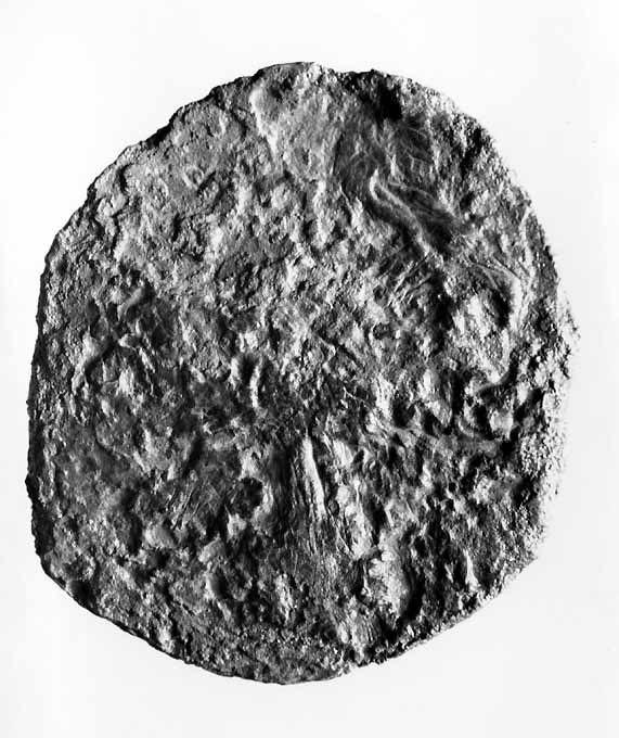 moneta - follaro (sec. XI d.C)