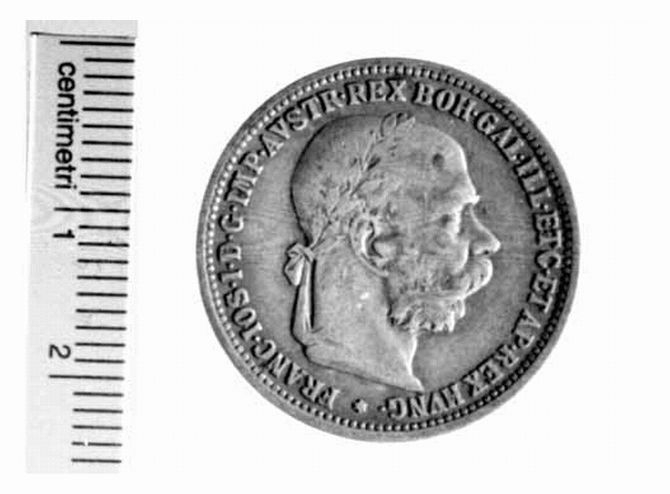 moneta - 1 gulden (sec. XIX d.C)