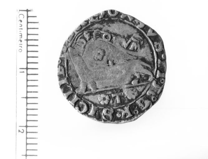 moneta - armellino (sec. XV d.C)