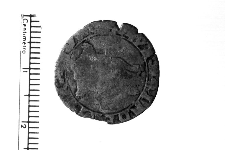 moneta - armellino (sec. XV d.C)