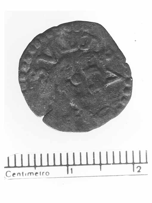 moneta - cavallo (sec. XVI d.C)