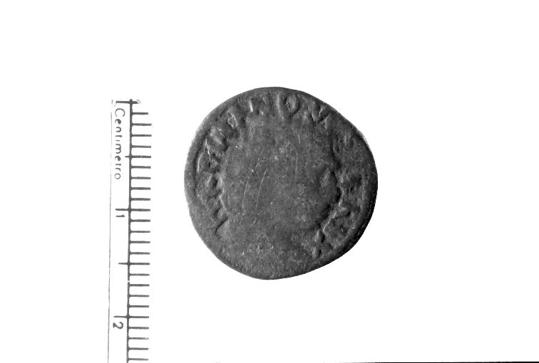 moneta - cavallo (sec. XV d.C)