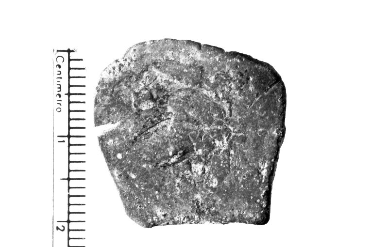 moneta - Italia meridionale (secc. VI d.C. - XX d.C)