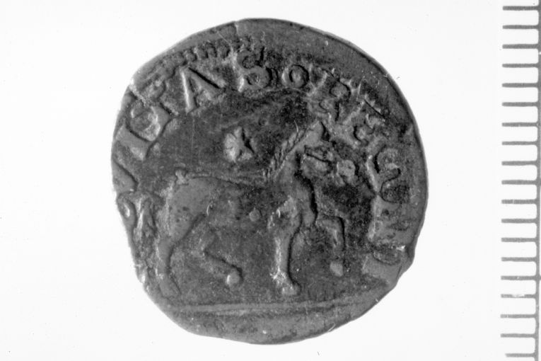 moneta - cavallo (secc. XV/ XVI)