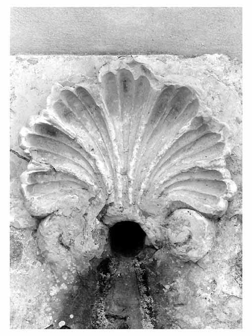 conchiglia (rilievo) - ambito salentino (sec. XVI)